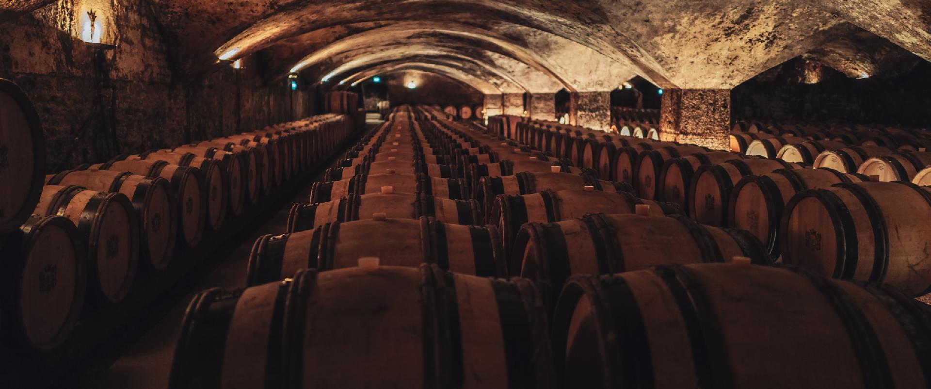 Para os apreciadores de vinho, saber como escolher um cruzeiro Douro que inclua visitas Ã© essencial