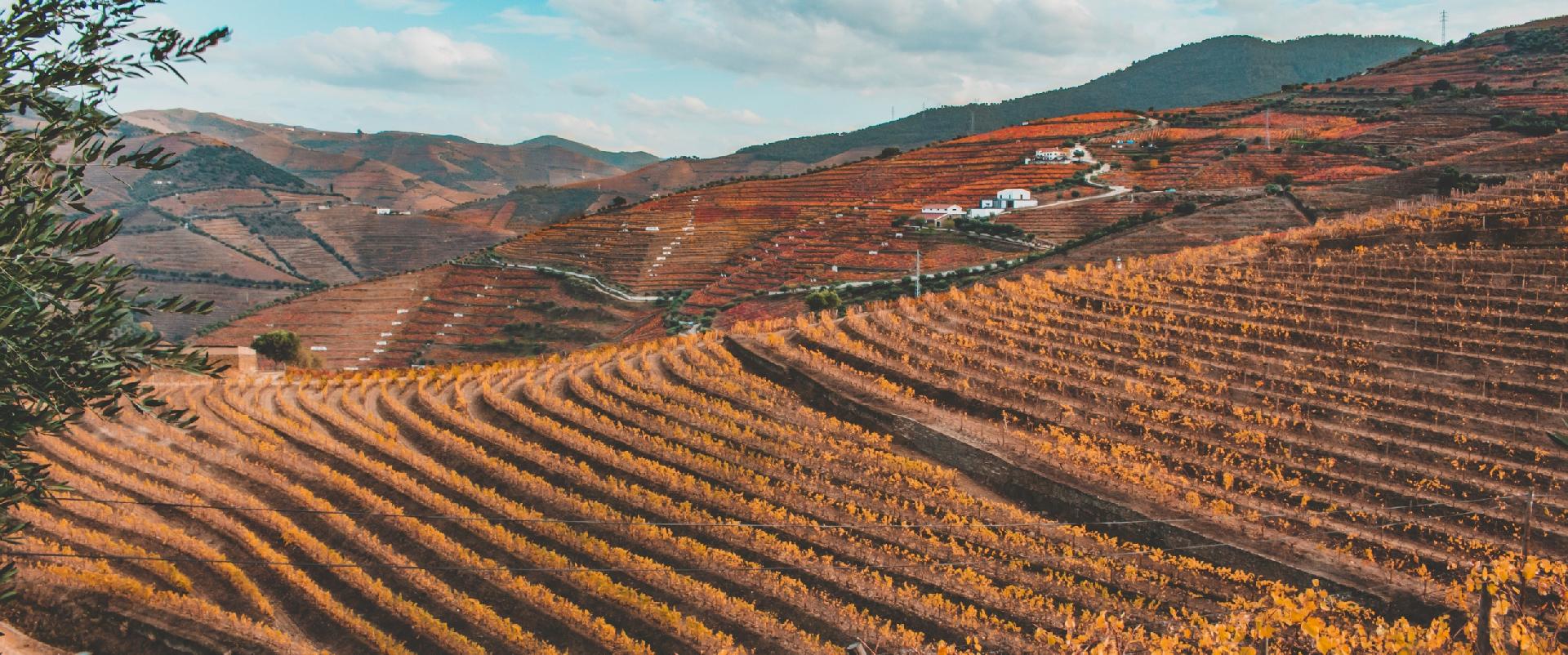 O Douro no outono, pintado de tons dourados, Ã© um espetÃ¡culo paisagÃ­stico