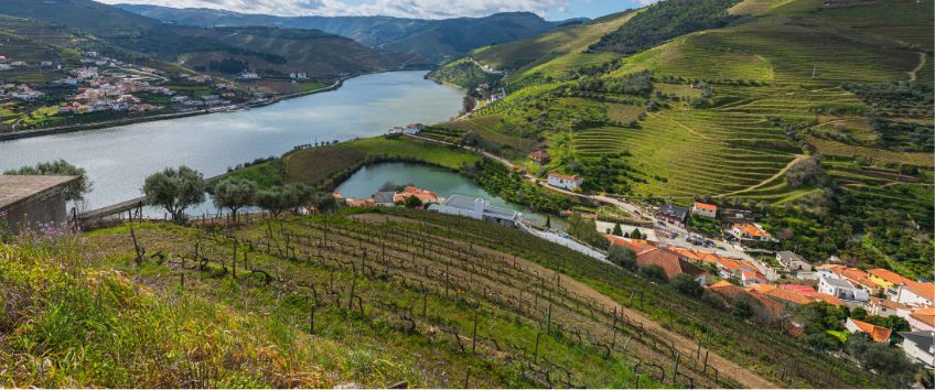 Pode encontrar vÃ¡rias opÃ§Ãµes de preÃ§os de cruzeiros para a subida rio Douro.