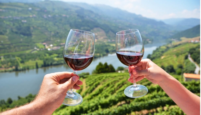 NÃ©ctar dos Deuses no Vale Douro: O Famoso Vinho do Porto!
