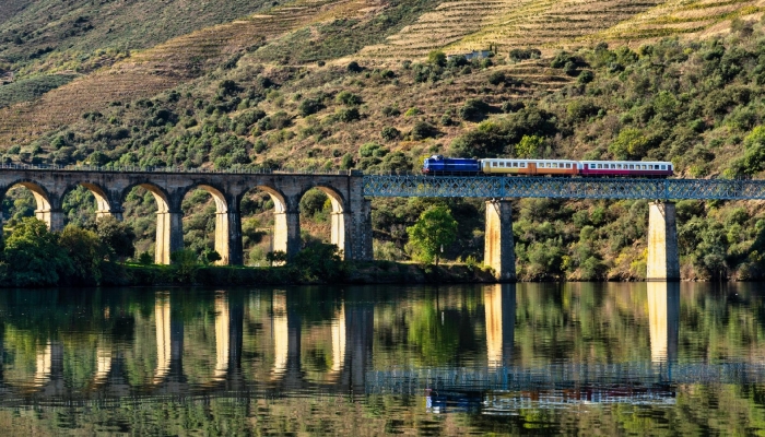 Linha do Douro: Onde a histÃ³ria se encontra com vistas deslumbrantes