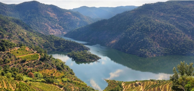 Os afluentes do Douro: descubra origens e tesouros escondidos