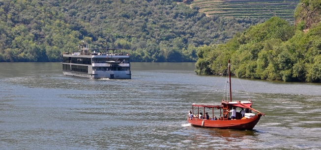 Cruzeiros no rio Douro: um guia prático para escolher o passeio de barco perfeito
