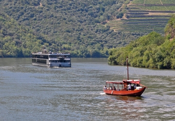 Cruzeiros no rio Douro: um guia prático para escolher o passeio de barco perfeito
