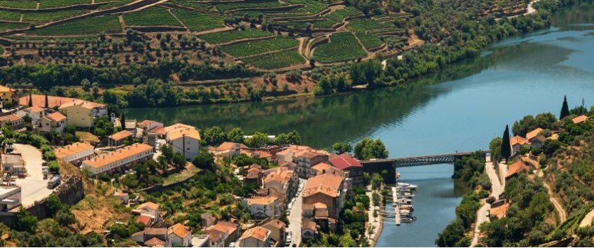 Find out more about boat trips in Pinhão