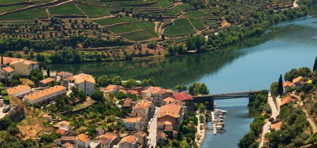 Find out more about boat trips in Pinhão