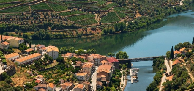 Find out more about boat trips in Pinhão