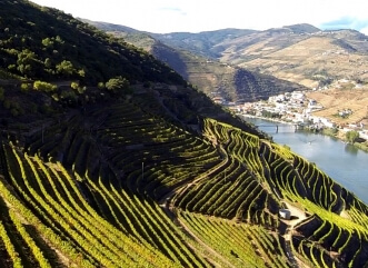 Rota do Douro Vinhateiro <br>2 dias</br>