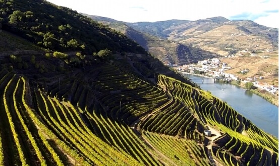 Route des Vins du Douro <br>2 Jours</br>